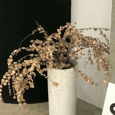 Furry兽圈创作交流